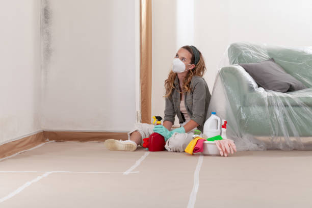 Reliable Basement Mold Remediation contractor in Fairview, GA by 24 Hour Mold Removal